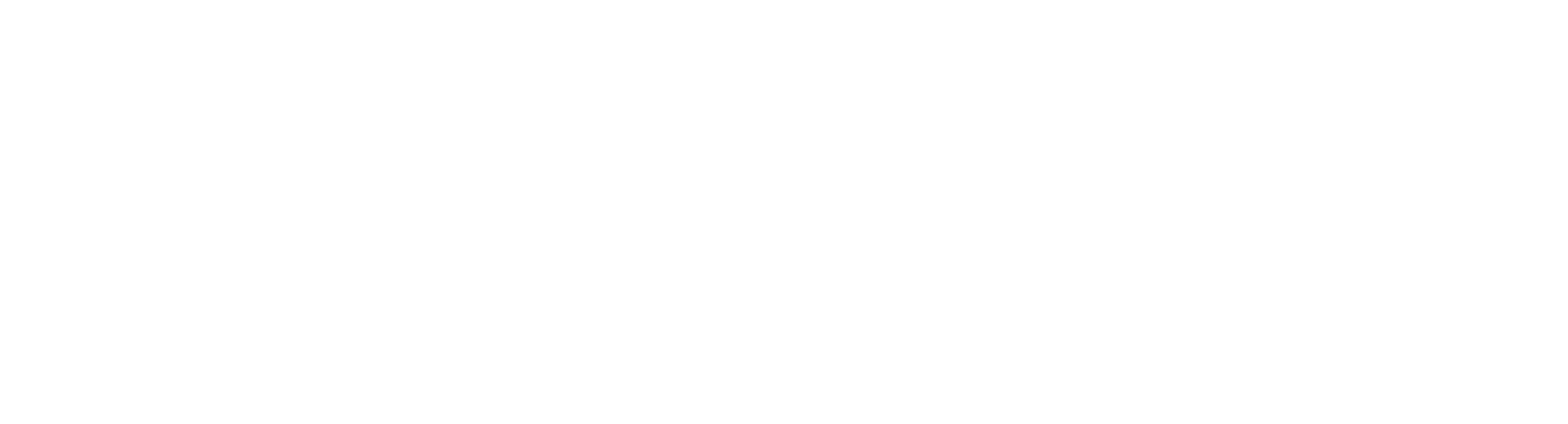 X-FOAM Indigo XPS Since 1994